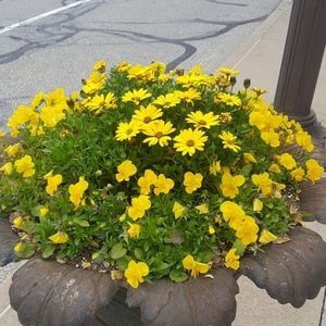 💕bundle and get a discount :)